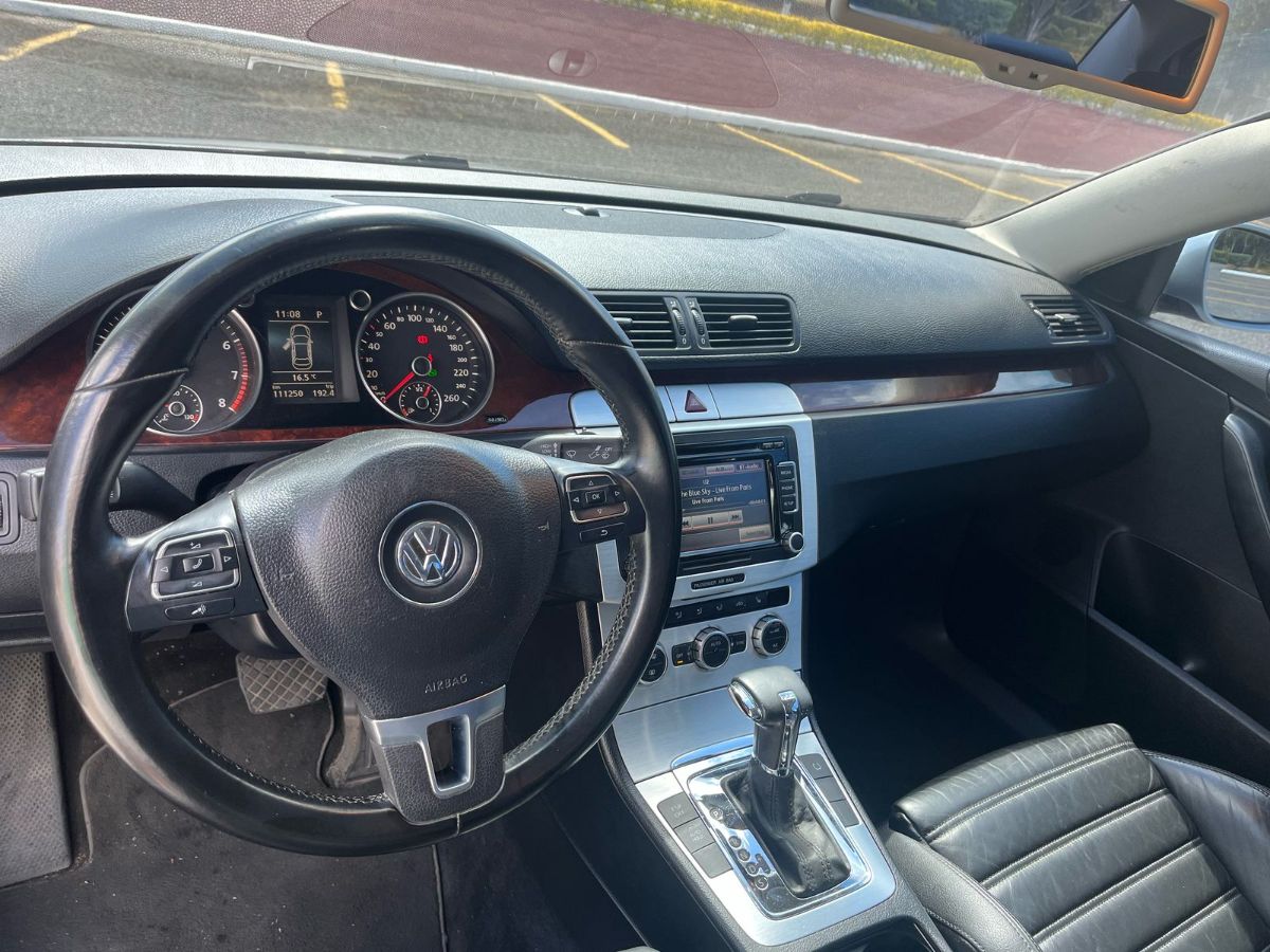 VOLKSWAGEN PASSAT - 2010                                        