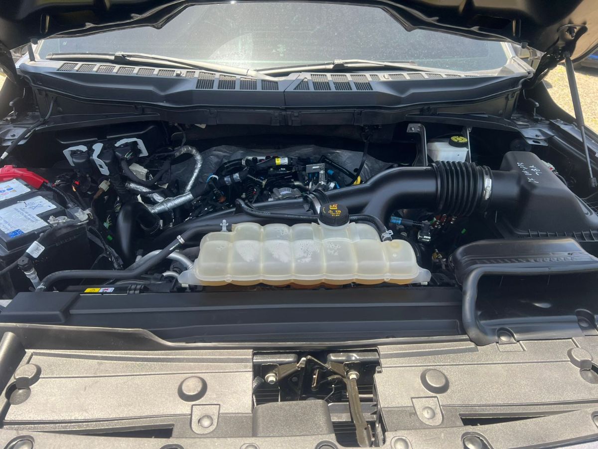 FORD F-150 XLT - 2021                                        