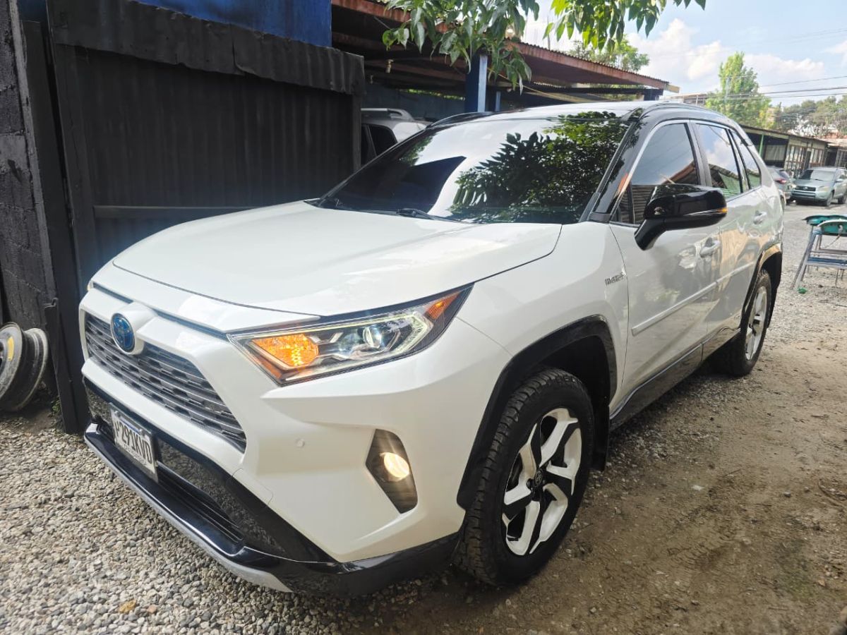 TOYOTA RAV-4 - 2020                                        