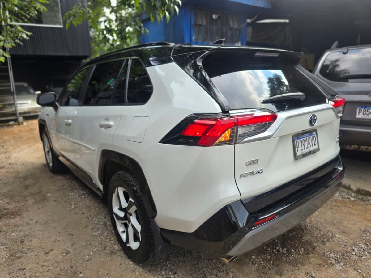 TOYOTA RAV-4 - 2020                                        