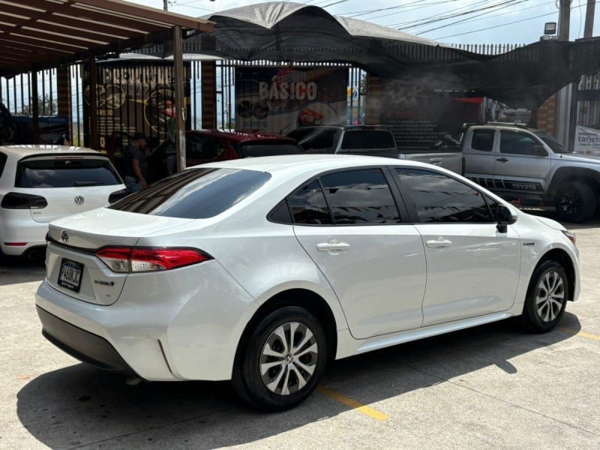 TOYOTA COROLLA - 2024                                        