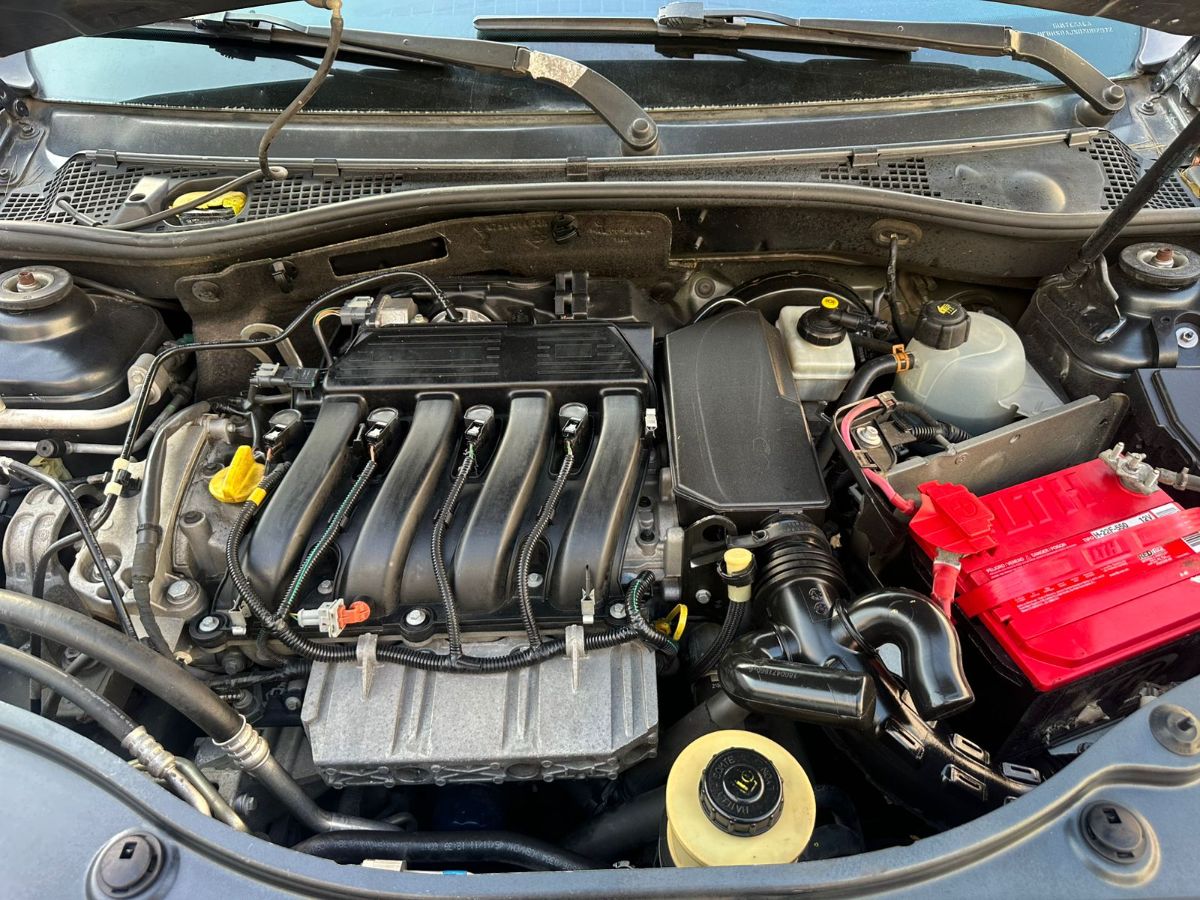 RENAULT DUSTER - 2013                                        