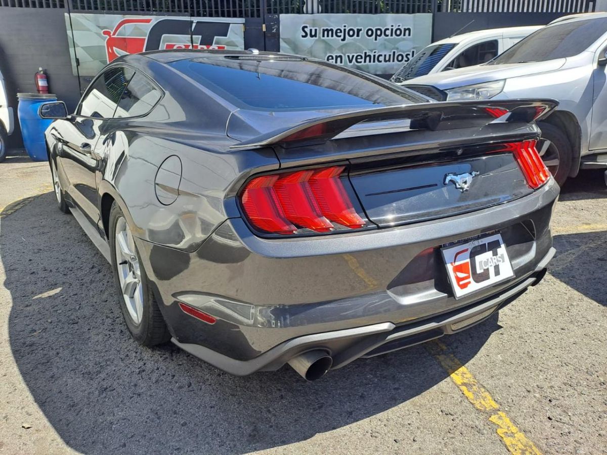 FORD MUSTANG - 2019                                        