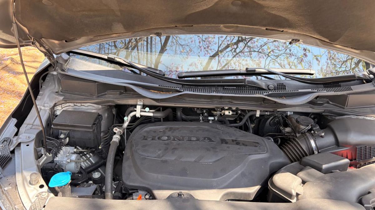 HONDA ODYSSEY - 2019                                        