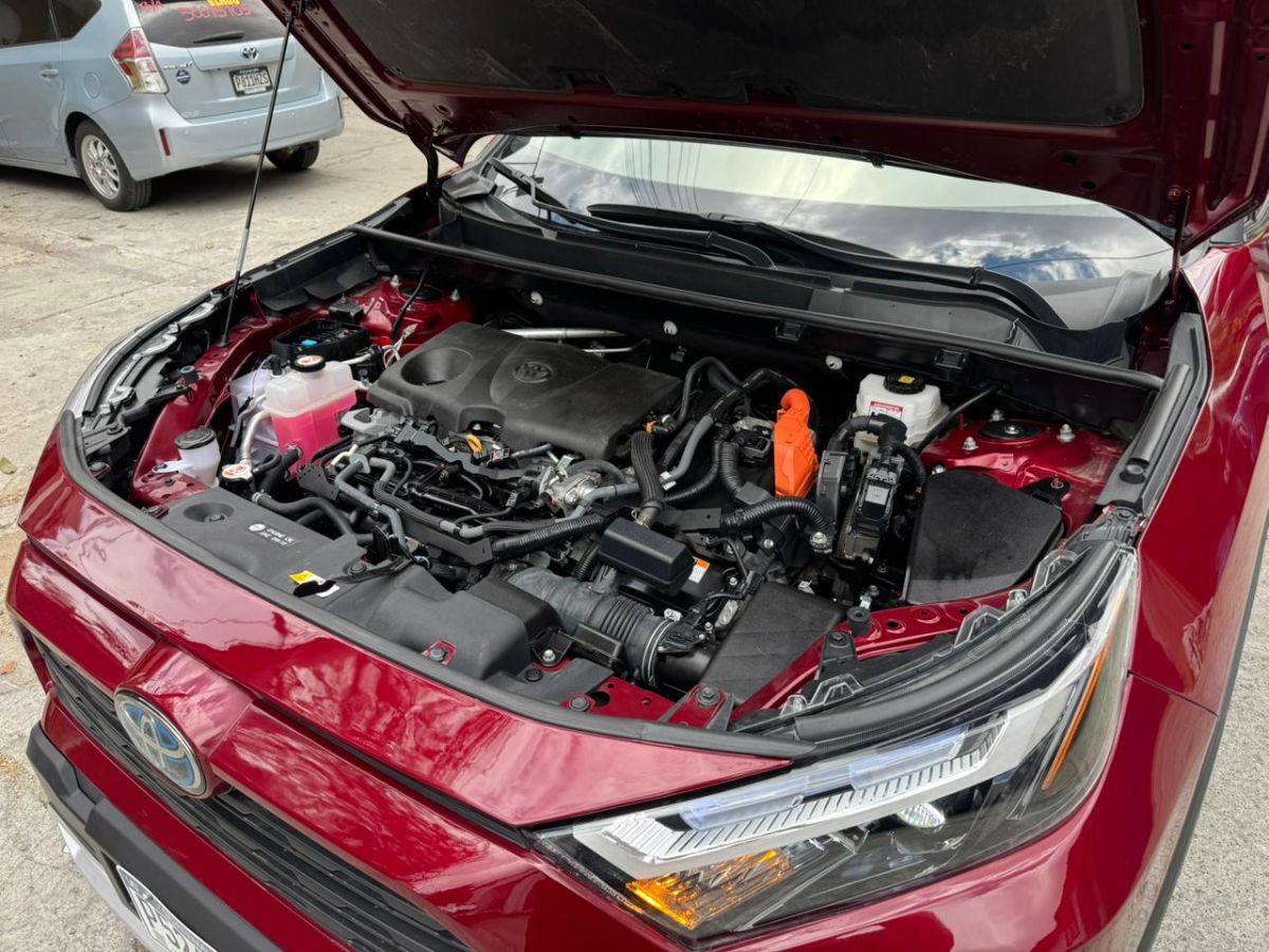 TOYOTA RAV-4 - 2022                                        