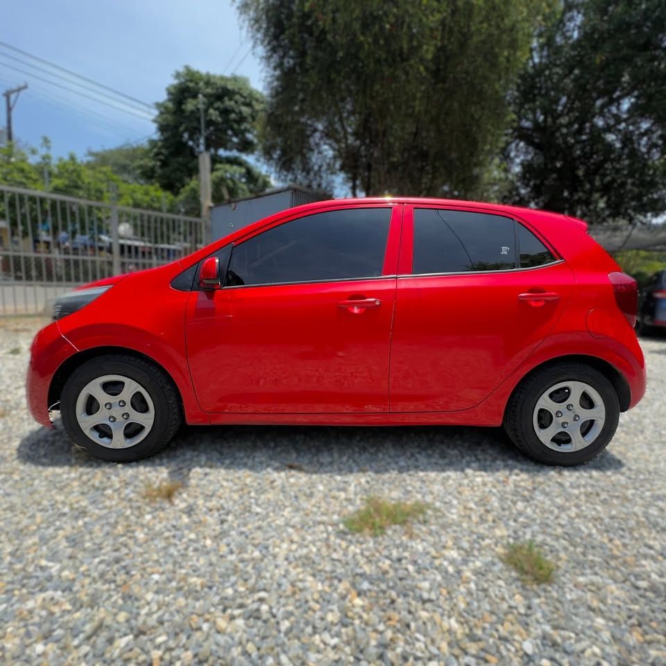 KIA PICANTO - 2019                                        