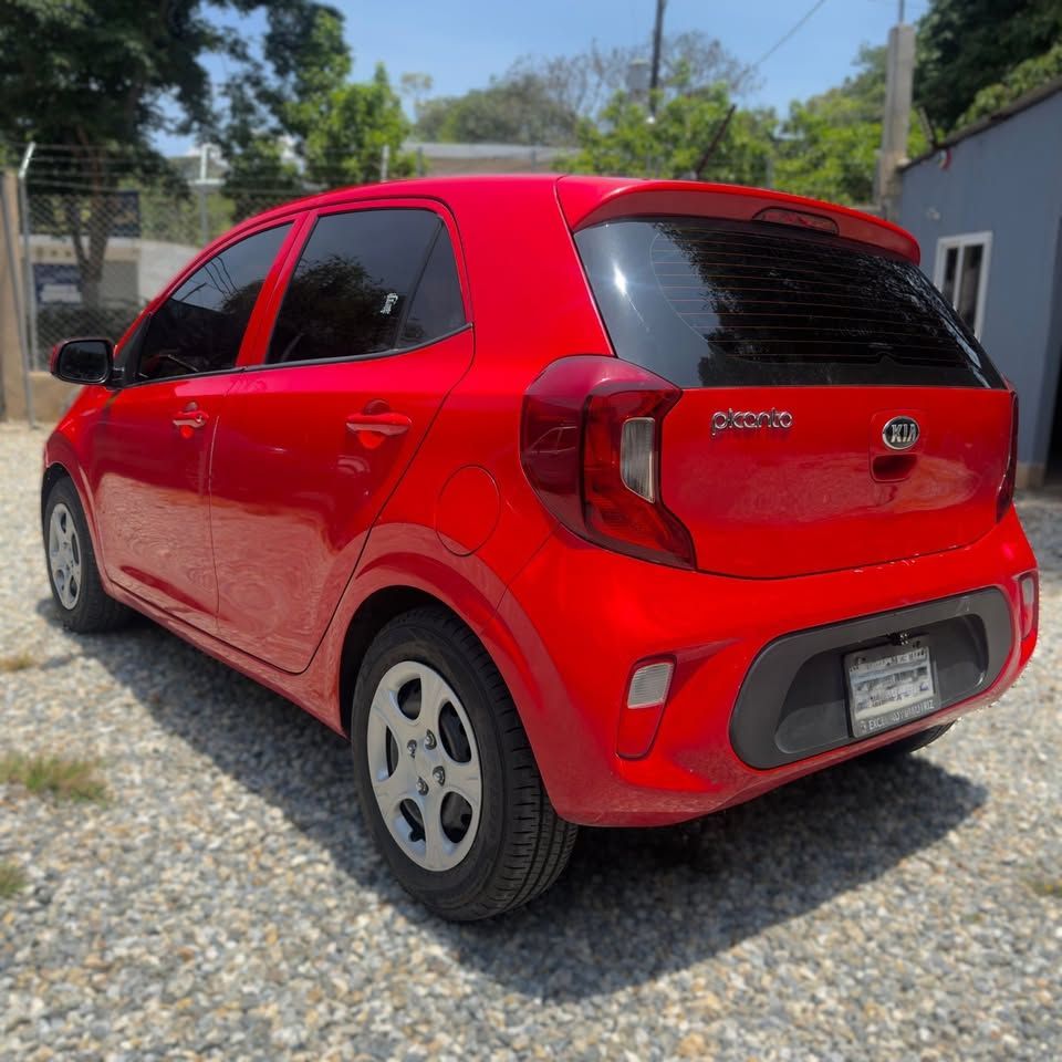 KIA PICANTO - 2019                                        