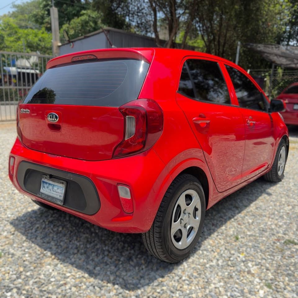 KIA PICANTO - 2019                                        