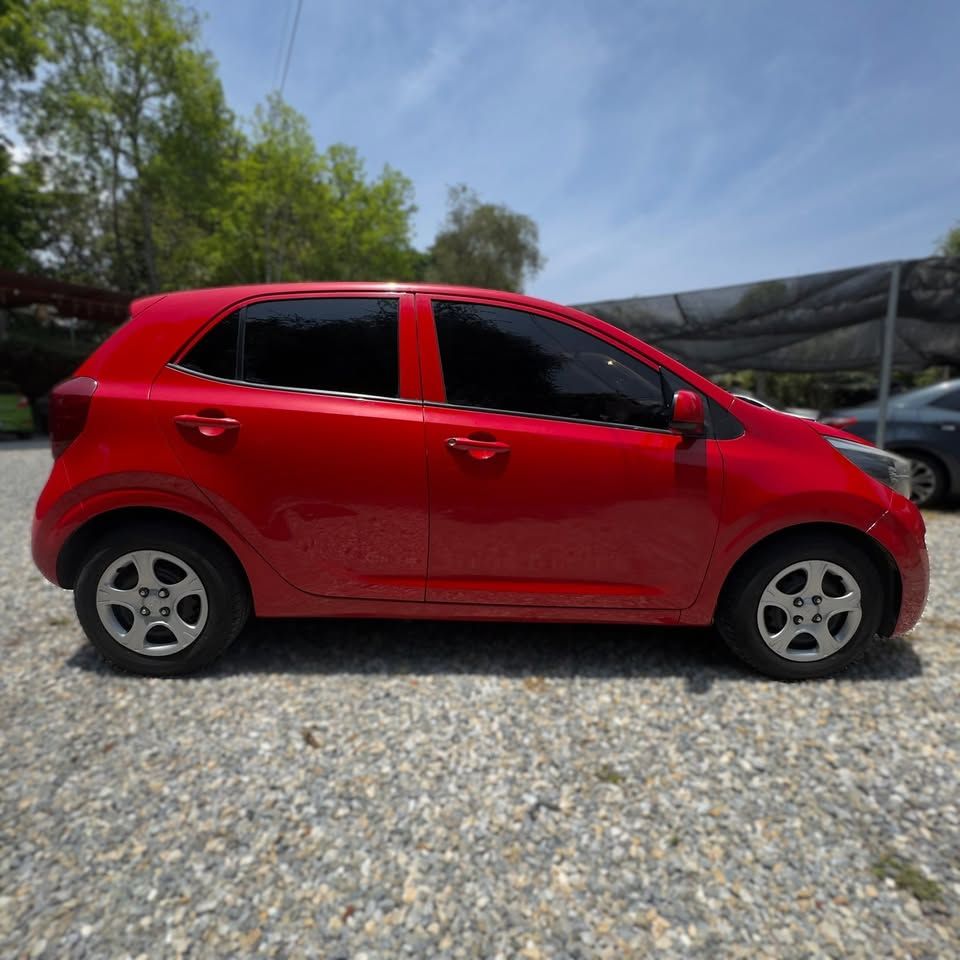 KIA PICANTO - 2019                                        