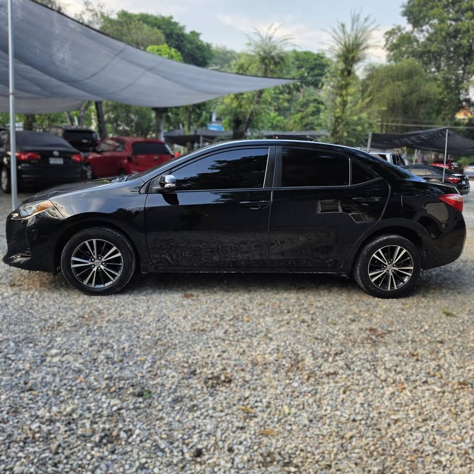 TOYOTA COROLLA - 2019                                        