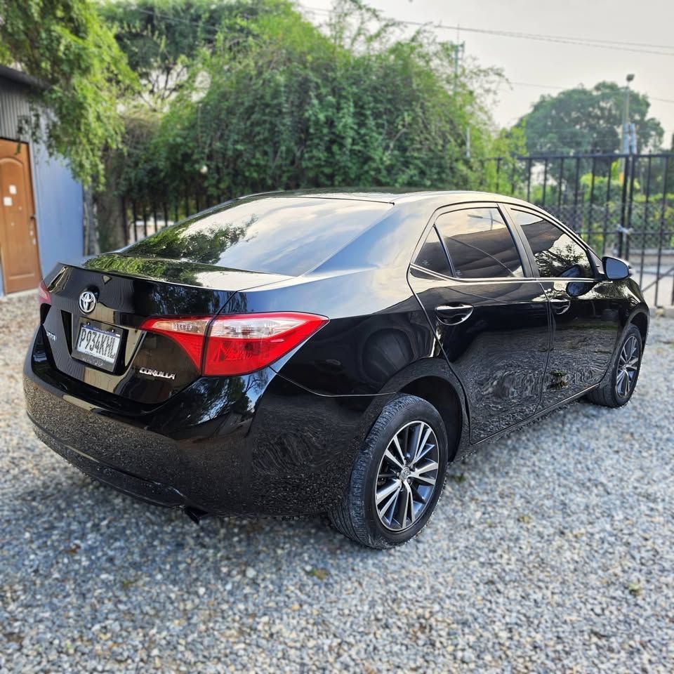 TOYOTA COROLLA - 2019                                        