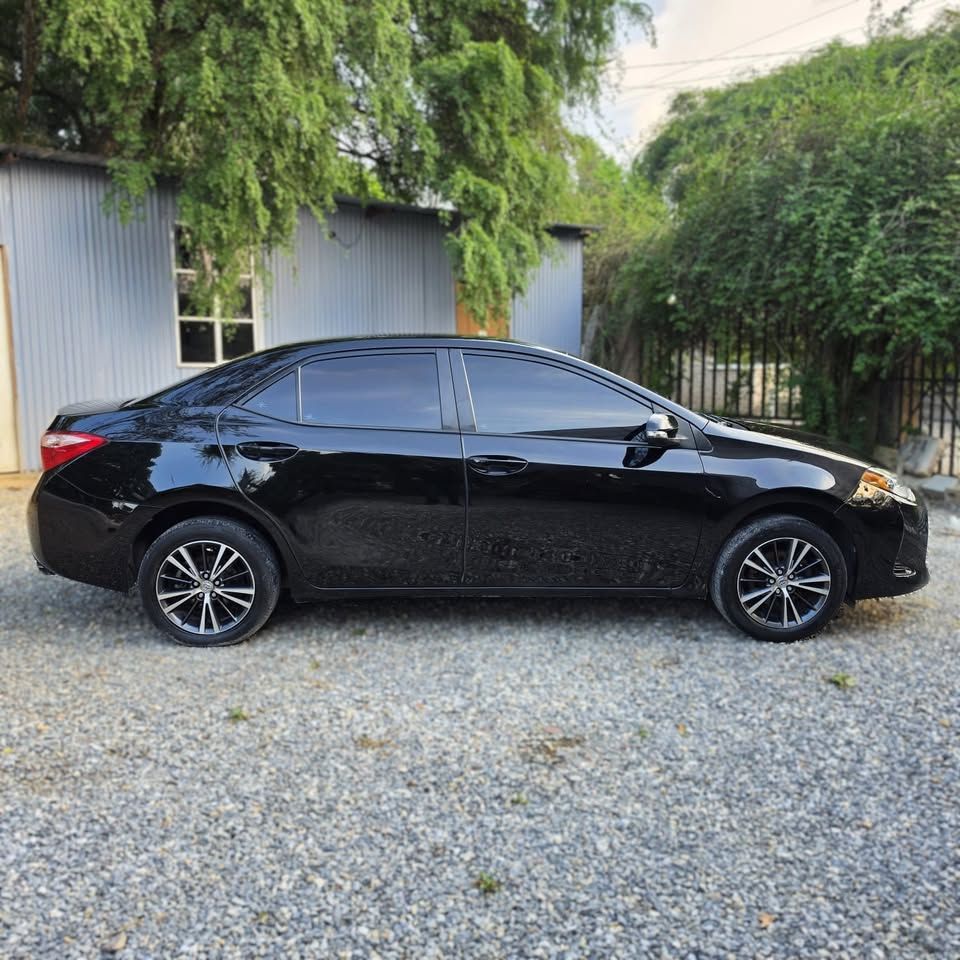 TOYOTA COROLLA - 2019                                        