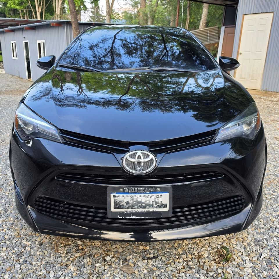 TOYOTA COROLLA - 2019                                        
