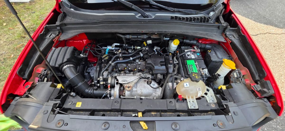 JEEP RENEGADE - 2015                                        