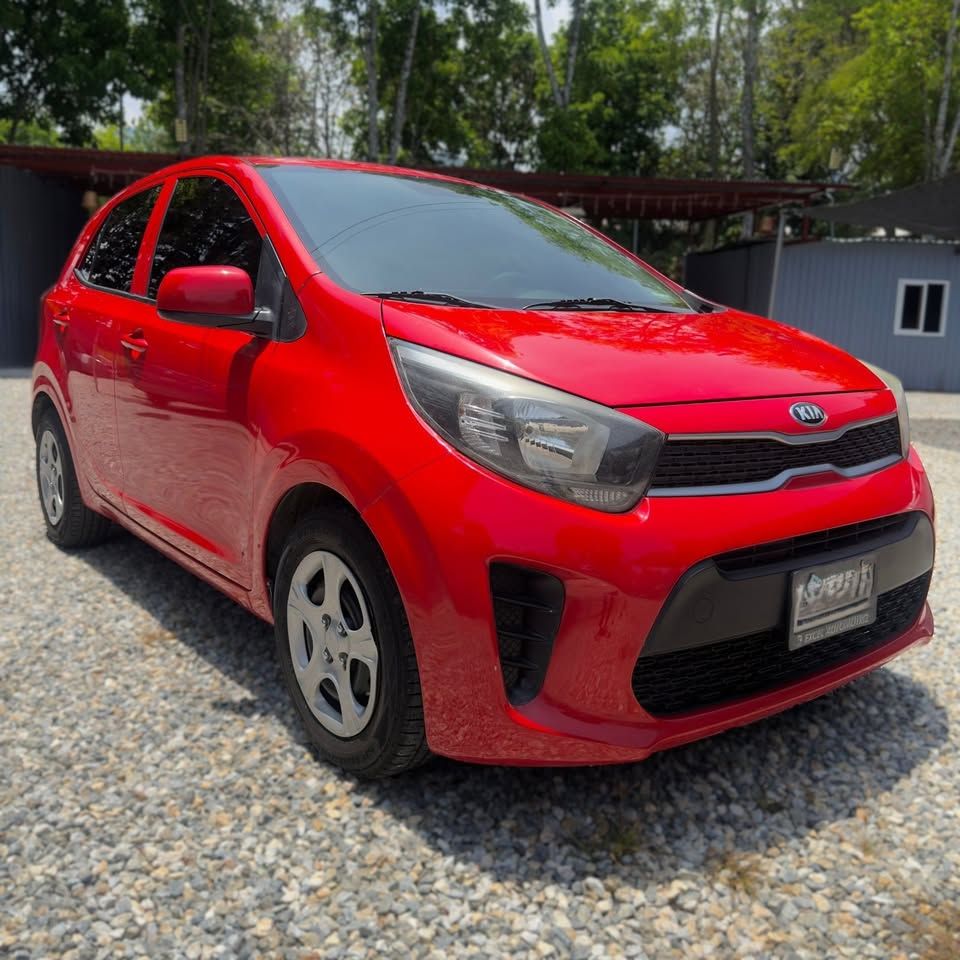 KIA PICANTO - 2019