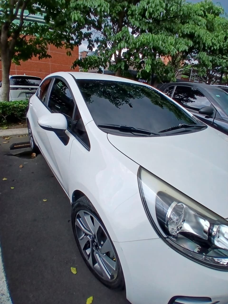KIA RIO - 2016